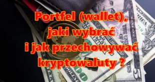 Portfel (wallet), jaki wybrać i jak przechowywać kryptowaluty Rodzaje i porównanie właściwości portfeli crypto