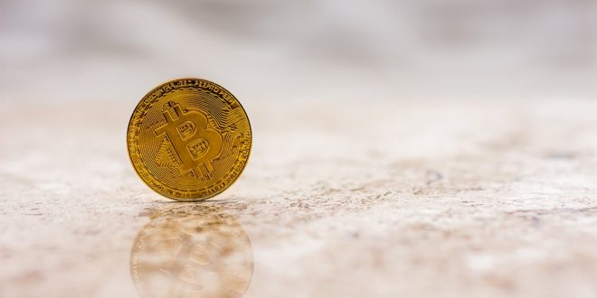 Jaka będzie cena Bitcoina do 2022 roku Prognoza Tima Drapera. Bitcoin a PCC 8 tysięcy, nowe wsparcie BTC. Luno portfel Bitcoin warty uwagi.