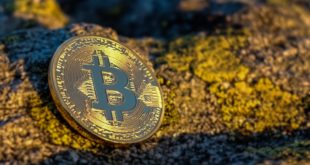 ETF Bitcoin decyzja odłożona do 30 września! Blockchain legalny w Ohio. Cyberprzestępczość w branży kryptowalutowej spada. Ledger Nano S i nowe crypto