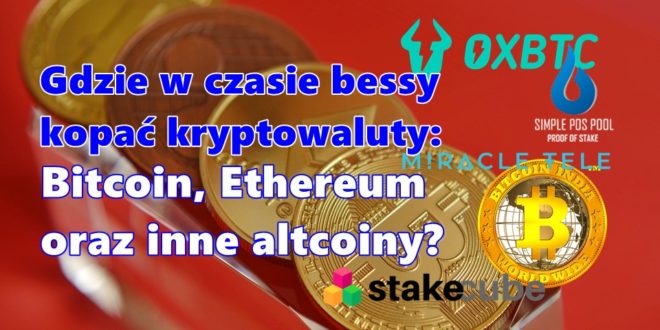 Gdzie w czasie bessy kopać kryptowaluty Bitcoin, Ethereum oraz inne altcoiny