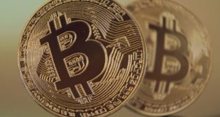 Bitcoin najlepszym instrumentem inwestycyjnym. Bitcoin w zainteresowaniu inwestorów! Co ma wspólnego Google Trends, Twitter i Bitcoin