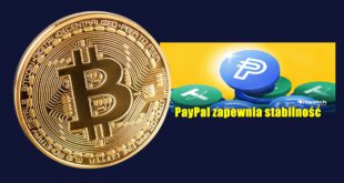 PayPal zapewnia stabilność. Zbiór informacji ze świata kryptowalut z ostatniego tygodnia
