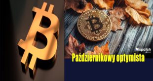 Październikowy optymista. Kiedy cena Bitcoina wreszcie przestanie spadać Wieloryby dokupują Bitcoina