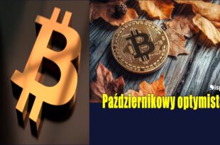 Październikowy optymista. Kiedy cena Bitcoina wreszcie przestanie spadać Wieloryby dokupują Bitcoina