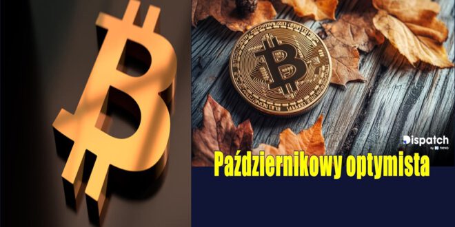 Październikowy optymista. Kiedy cena Bitcoina wreszcie przestanie spadać? Wieloryby dokupują Bitcoina