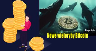 Nowe wieloryby Bitcoin. Cena Bitcoina (BTC) sygnalizuje potencjalny wzrost