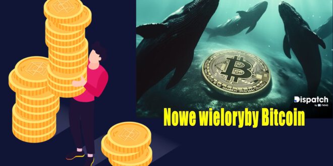 Nowe wieloryby Bitcoin. Cena Bitcoina (BTC) sygnalizuje potencjalny wzrost