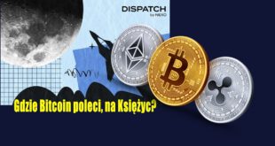 Gdzie Bitcoin poleci, na Księżyc? Bitcoin na święta osiągnie 115 000 USD – podaje nowy raport