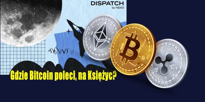 Gdzie Bitcoin poleci, na Księżyc? Bitcoin na święta osiągnie 115 000 USD – podaje nowy raport