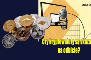 Czy kryptowaluty są skazane na odbicie? Diamentowe ręce Bitcoina nadal trzymają i celują w ATH