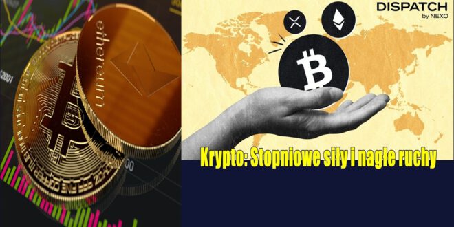 Krypto: Stopniowe siły i nagłe ruchy. Dlaczego Bitcoin wciąż nie kosztuje 150 000 dolarów?