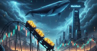 Bitcoin, Ethereum i wieloryby Przegląd najważniejszych wydarzeń na rynku kryptowalut