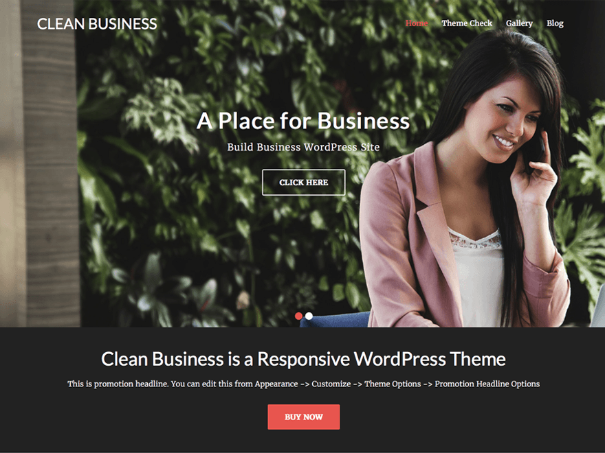 Clean Business